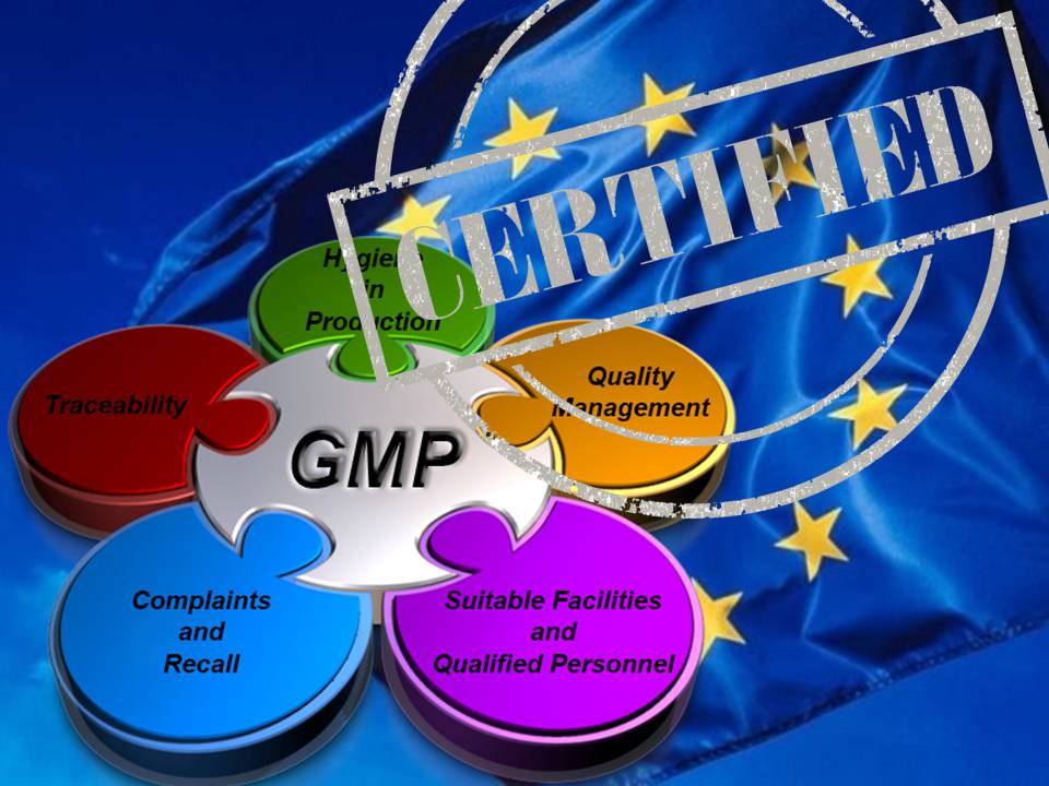 Conseguir certificación GMP España