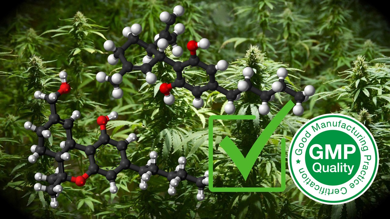 Obtención licencia cultivo de cannabis