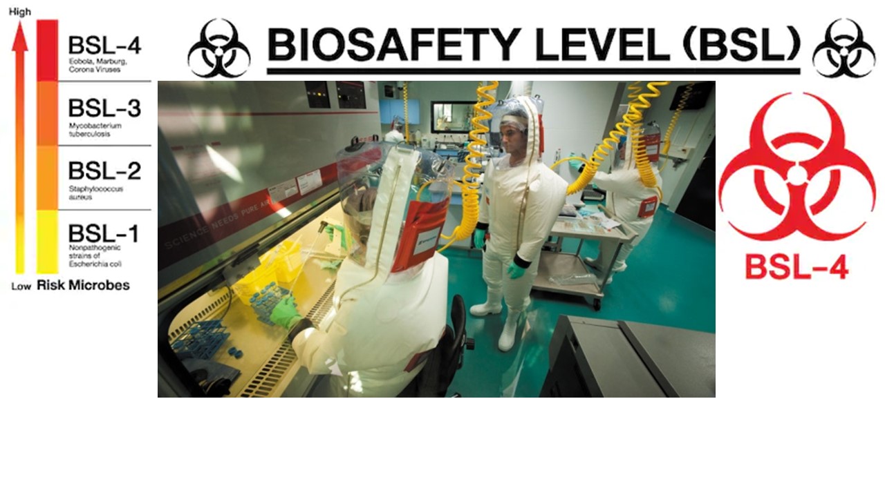 ¿Qué es el nivel de bioseguridad BSL-4?